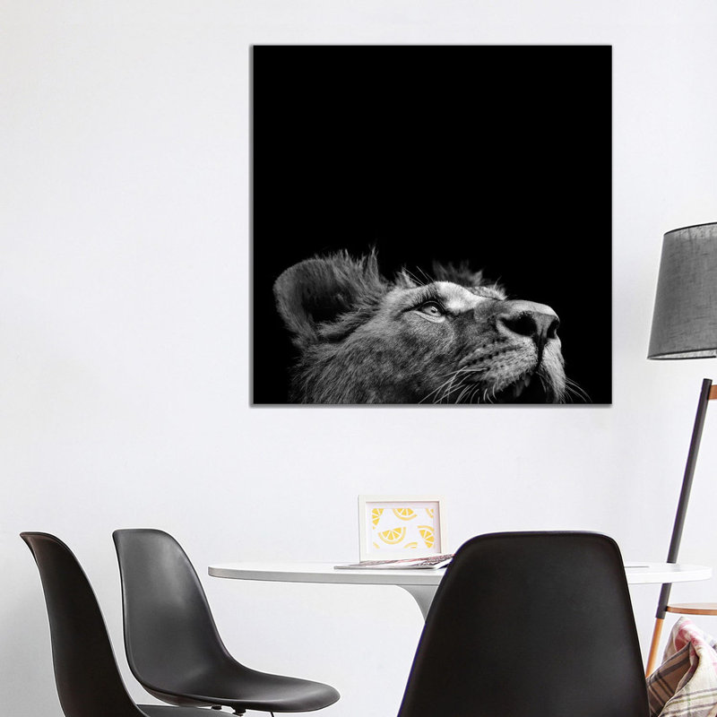 Lion In Black & White II by Lukas Holas - Wrapped Canvas Print, 93.98 cm H x 93.98 cm W