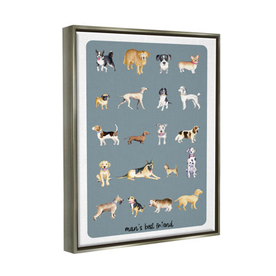 " Man's Best Friend Dog Breeds "