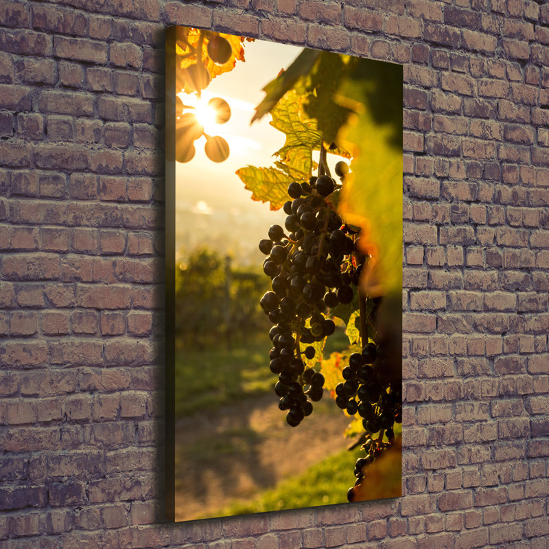 Vineyard - Wrapped Canvas Print