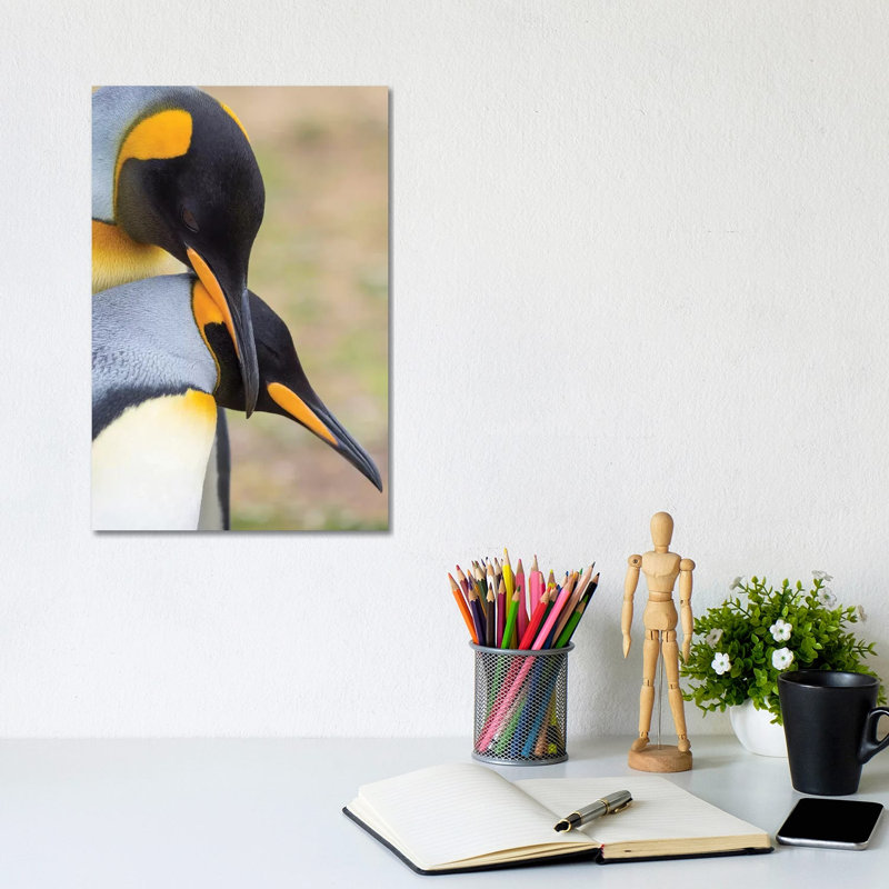 Courtship Display. King Penguin on Falkland Islands. 1 Piece Wrapped Canvas Wall Art, 20.32 cm H x 30.48 cm W