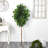 Ficus Artificial Tree