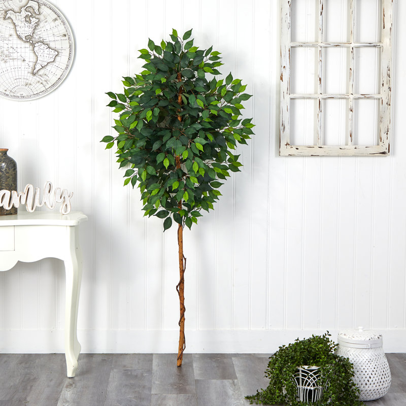 Elegant 6ft Ficus & Fern Mix Artificial Potted Tree