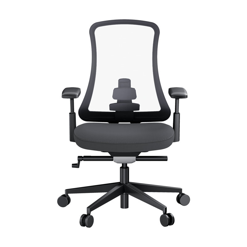  Chaises de bureau à domicile Chaises de bureau ergonomiques à haut dossier et roulettes, Noir, Noir