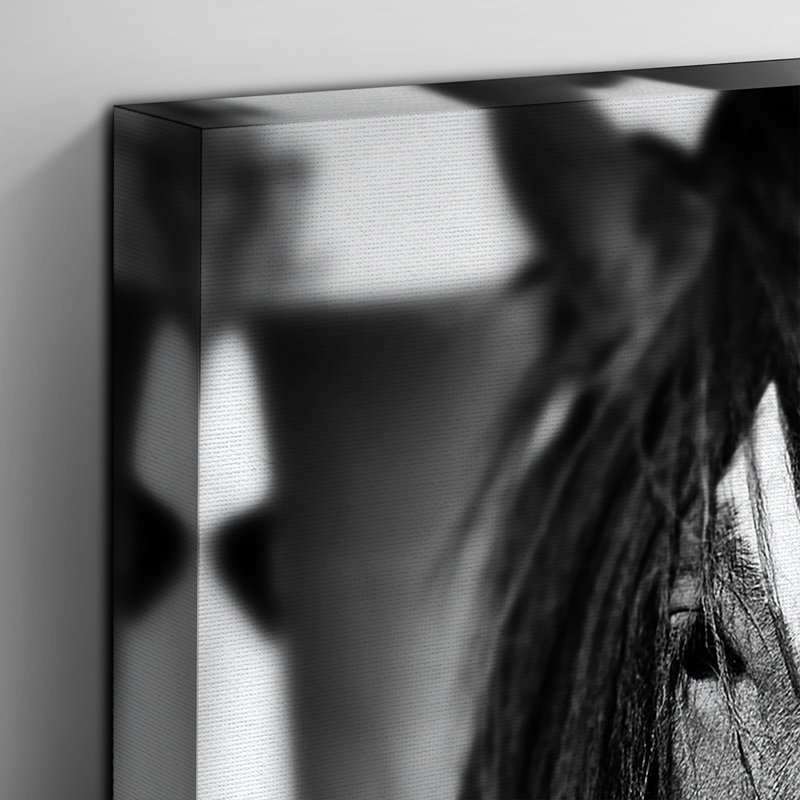 Two Horses Photographic - Wrapped Canvas, 50cm H x 76cm W