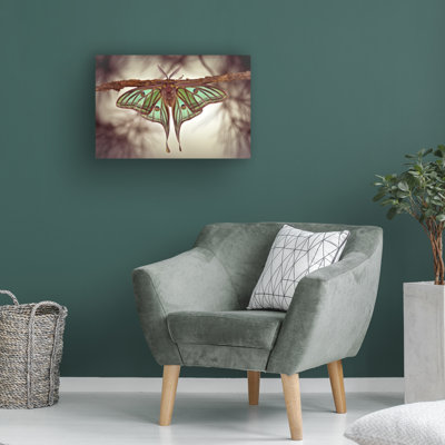 Œuvre d'art sur toile, Jimmy Hoffman