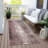 Machine Washable Indoor/Outdoor Xhevrie Blush Rug-1591383023