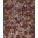 Paradise Hand Knotted Area Rug in Brown