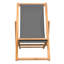 Hayg Folding Beach Chair-1811743318