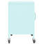 Storage Cabinet Freestanding File Cabinet with Shelves for Office Steel-1048879505