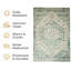Oriental Machine Tufted Shag Area Rug-156490060