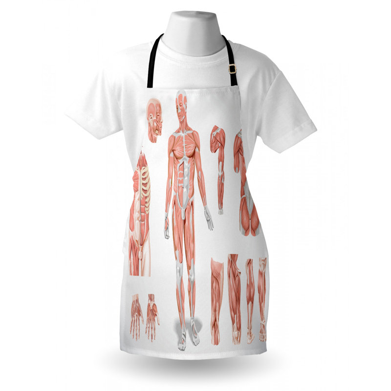 Bib Apron