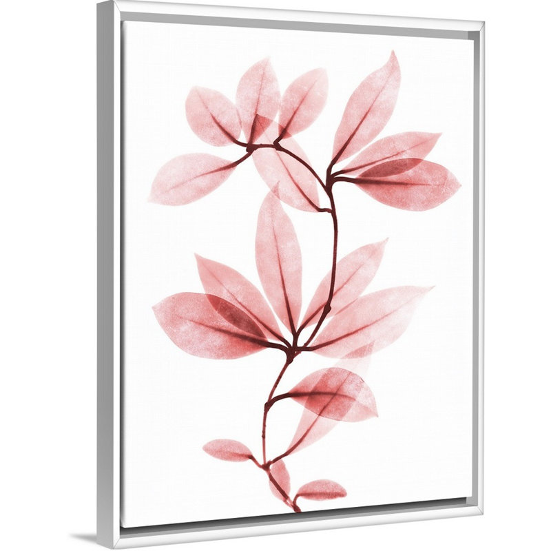 "Coral Wonder 1" par Albert Koetsier, reproduction d’art sur toile, H 18 po x l 14 po x P 1,75 po, Toile blanche encadrée