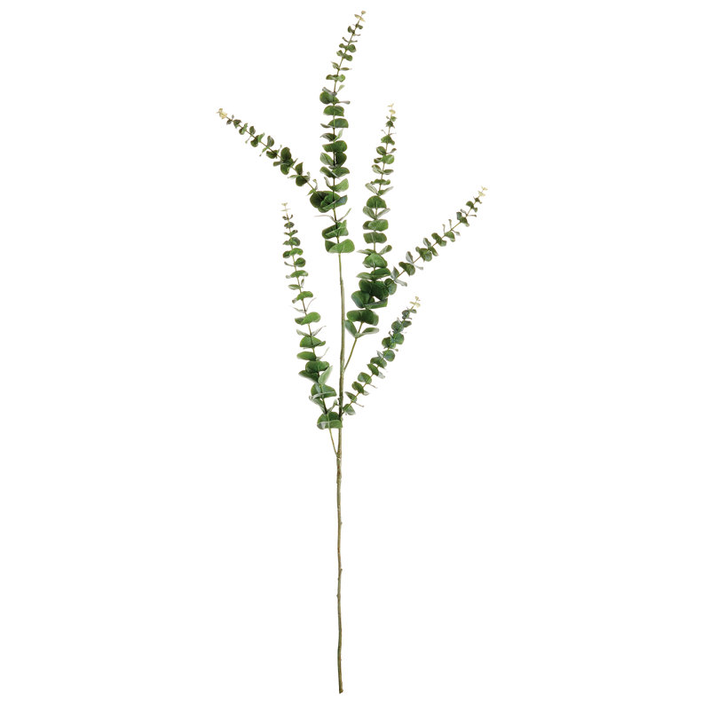 49-Inch Eucalyptus Stem