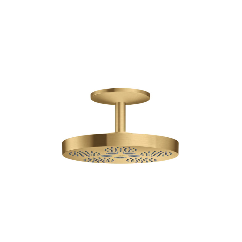 One Rain Fixed Shower Head, Brushed Gold