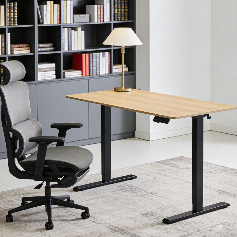 Bureau électrique électrique, 24 po x 48 po, couleur ambre et graphite, surface monobloc de 1 po d'épaisseur, espace de travail ergonomique, bureau à faible bruit, hauteur réglable, assemblage facile