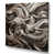 Wrapped Canvas