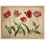 "Fleurs rouges rustiques, impression encadrée, affiches, petit art mural de salle de bain"-101825455-101825453