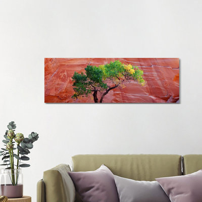 Low Angle View of a Cottonwood Tree in Front of a Sandstone Wall, Escalante National Monument, Utah, USA 1 Piece Wrapped Canvas Panoramic Wall Art