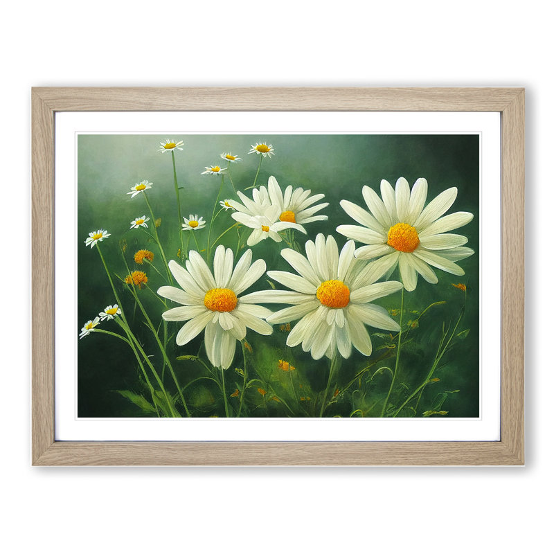 Daisy Flower - Framed Print, 46cm H x 64cm W x 2cm D, Oak