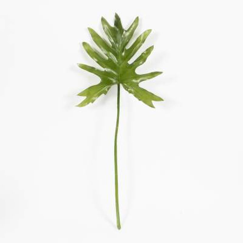 Tommy Landscape & Nature Vase Filler