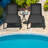 Outdoor Metal Chaise Lounge-1127567339