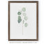 « mou eucalyptus branch i » par paul cezanne-cadre photo, reproduction d’art-693925080-693925083-693953563