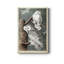 Audubons Snowy Owl - impression sur toile tendue-893079278