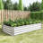 Rust - Proof Silver Metal Raised Bed With Open Base For Planting In Bedroom Conservatory Galvanized Planter Outdoor Vegetable And Flower Growth Urban Spaces-107314642-107314643