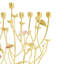 Wildflowers Menorah