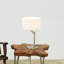 Lampe de table en nickel brossé avec interrupteur marche / arrêt Horizon