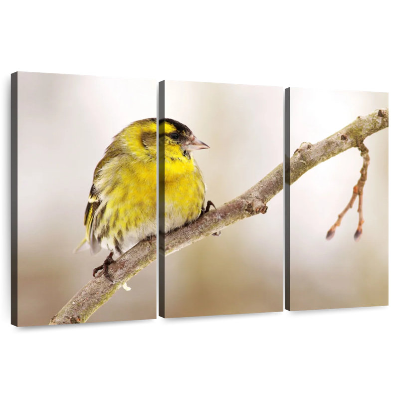 Brampt Perched Yellow Bird, 48" H x 74" W