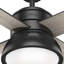 132cm Ceiling Fan with Light Kit-82614492-82614493