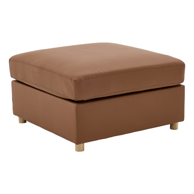Clinard Upholstered Storage Standard, Faux Leather, Brun