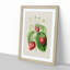 Illustration of Strawberries - Framed Print-55641231-55641232