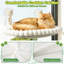 Fabric, Metal Hammock Pet Bed