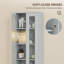 Freestanding Bathroom Cabinet