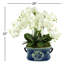 Orchid Arrangement in Decorative Ceramic Planter