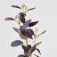 Branche d'eucalyptus artificiel Audet (1 tige)-640572630