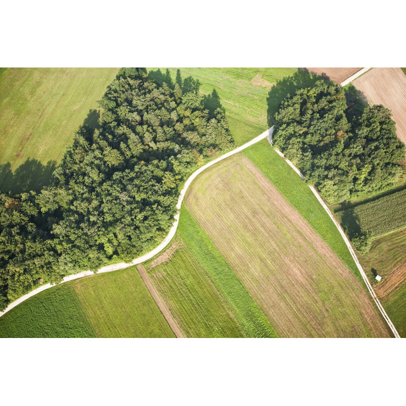 Country Road by Mbbirdy - Print, 30cm H x 46cm W