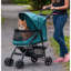 Poussette standard pliable-10410893