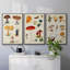 " Mushroom Species VI " 3 - Pieces-91891303-91891302