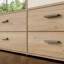 Rajish Manufactured Wood Wardrobe