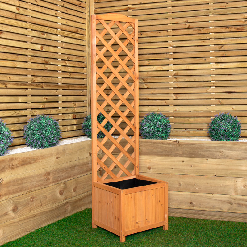 Anaum 160cm H x 40cm W Wood Trellis