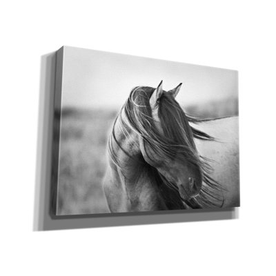 Zonain " Fierce Grace " by Tony Stromberg