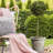 Rustic Style Rolled Rim Wide Vase Planter-87131650-87131649