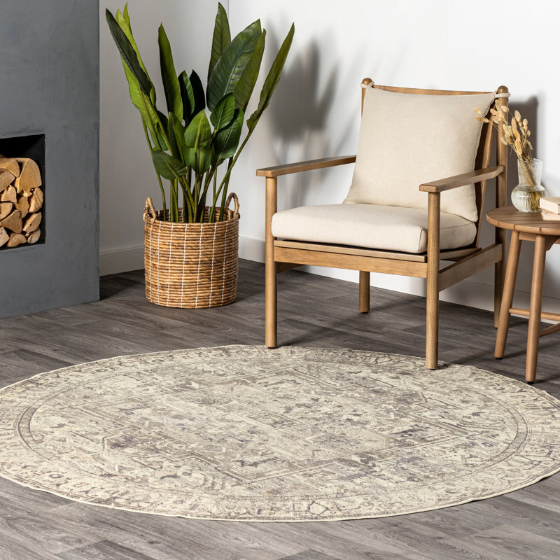 Brielle SpinClean Machine Washable Vintage Medallion Area Rug, Round 6'