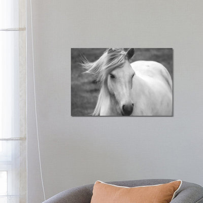 «Snow White» par Michelee Scott - photographie sur toile tendue