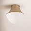 Lettie 1 - Light Flush Mount-197771604-164942383
