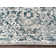 Aidy 1244 Transitional Abstract Blue Area Rug