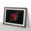 Rainbow upon a Red Rose in Abstract - Picture Frame Graphic Art Print-55772019-55772017